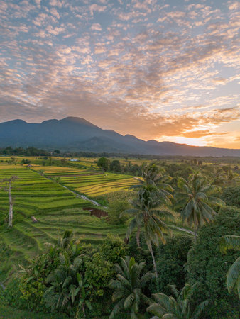 Beautiful morning view Indonesia Panorama Landscape paddy fields with beauty color and sky natural lightの写真素材