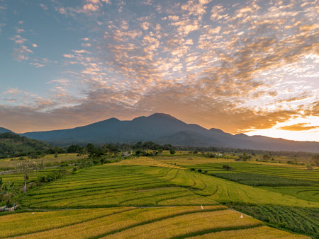 Beautiful morning view indonesia Panorama Landscape paddy fields with beauty color and sky natural lightの写真素材