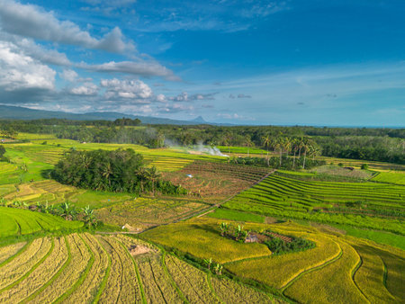 Beautiful morning view indonesia Panorama Landscape paddy fields with beauty color and sky natural lightの写真素材