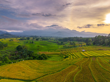 Beautiful morning view indonesia Panorama Landscape paddy fields with color and sky natural lightの写真素材