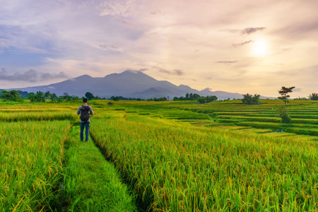Beautiful morning view indonesia Panorama Landscape paddy fields with beauty color and sky natural...