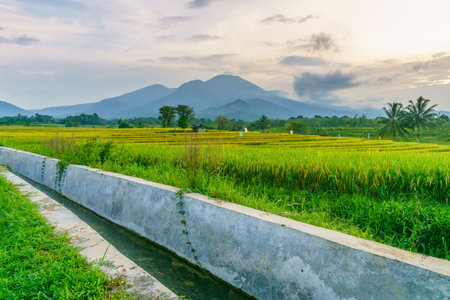 Beautiful morning view indonesia Panorama Landscape paddy fields with beauty color and sky natural lightの写真素材