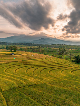 Beautiful morning view indonesia Panorama Landscape paddy fields with beauty color and sky natural lightの写真素材