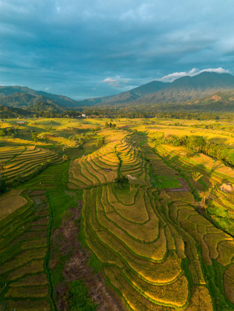 Beautiful morning view indonesia Landscape paddy fields with beauty color and sky natural lightの写真素材