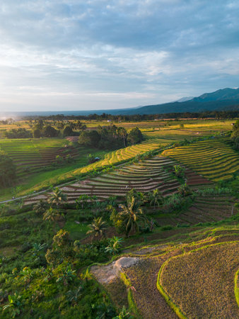 Beautiful morning view indonesia Panorama Landscape paddy fields with beauty color and sky natural...