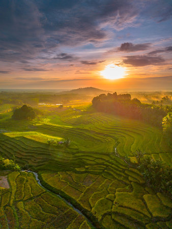 Beautiful morning view indonesia Panorama Landscape paddy fields with beauty color and sky natural...