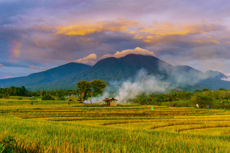 Beautiful morning view indonesia Panorama Landscape paddy fields with beauty color and sky natural lightの写真素材