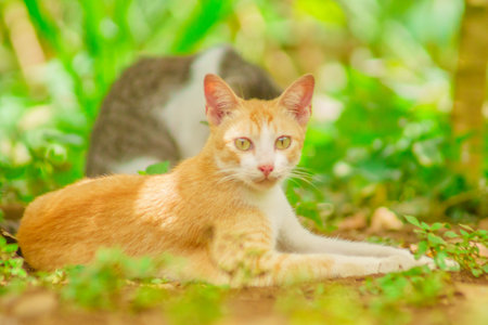 Wild snakes among tropical flowers, showcasing the natural beauty and balance between wild flora and fauna.の写真素材