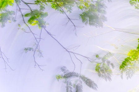 Beautiful morning view Panorama Landscape paddy fields with beauty color and sky natural lightの写真素材