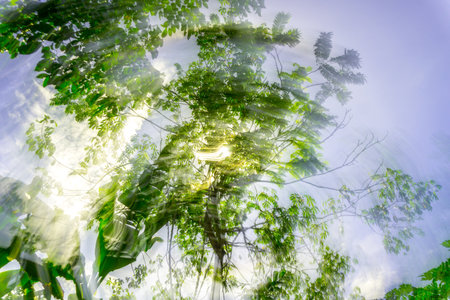 Beautiful morning view indonesia Panorama Landscape paddy fields with beauty color and sky natural lightの写真素材