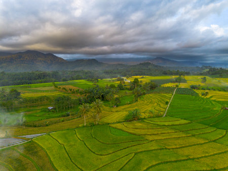 Beautiful morning view indonesia Panorama Landscape paddy fields with beauty color and sky natural lightの写真素材