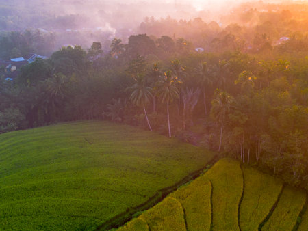 Beautiful morning view indonesia Panorama Landscape paddy fields with beauty color and sky natural lightの写真素材