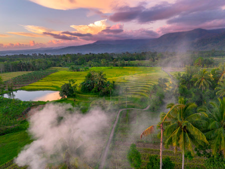 Beautiful morning view indonesia Panorama Landscape paddy fields with beauty color and sky natural lightの写真素材