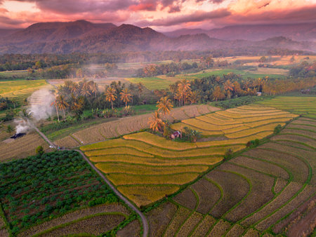 Beautiful morning view indonesia Panorama Landscape paddy fields with beauty color and sky natural lightの写真素材
