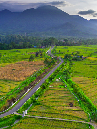 Beautiful morning view indonesia Panorama Landscape paddy fields with beauty color and sky natural...