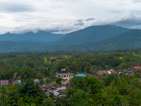 Beautiful morning view indonesia Panorama Landscape paddy fields with beauty color and sky natural lightの写真素材