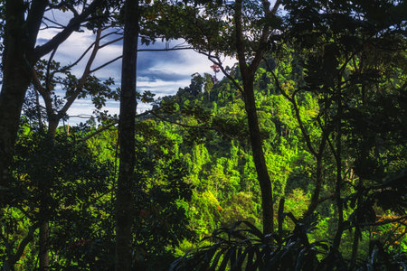 Beautiful morning view indonesia Panorama Landscape with beauty color and sky natural light