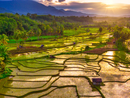 Beautiful morning view indonesia Panorama Landscape paddy fields with beauty color and sky natural lightの写真素材