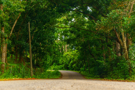 Beautiful morning view indonesia Panorama Landscape with beauty color and sky natural lightの写真素材