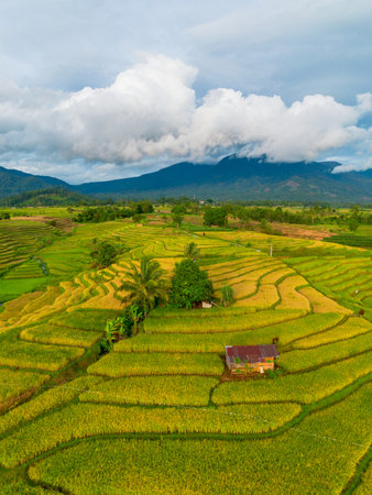 Beautiful morning view indonesia Panorama Landscape paddy fields with beauty color and sky natural lightの写真素材
