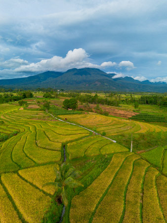 Beautiful morning view indonesia Panorama Landscape paddy fields with beauty color and sky natural lightの写真素材