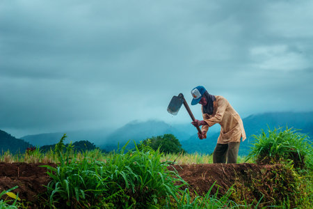 Beautiful morning view indonesia Panorama Landscape paddy fields with beauty color and sky natural lightの写真素材