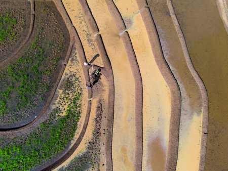 Beautiful morning view indonesia Panorama Landscape paddy fields with beauty color and sky natural lightの写真素材