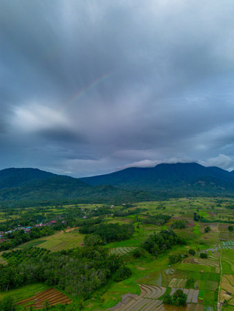 Beautiful morning view indonesia Panorama Landscape paddy fields with beauty color and sky natural...