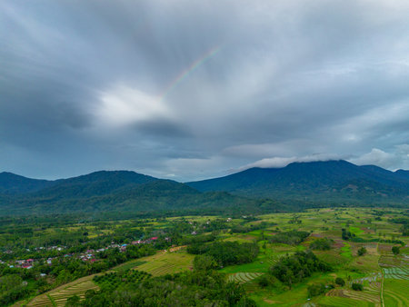 Beautiful morning view indonesia Panorama Landscape paddy fields with beauty color and sky natural lightの写真素材