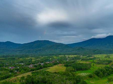 Beautiful morning view indonesia Panorama Landscape paddy fields with beauty color and sky natural lightの写真素材