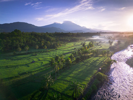 Beautiful morning view in Indonesia, panoramic landscape of rice fields with mountain ranges and clear skyの写真素材