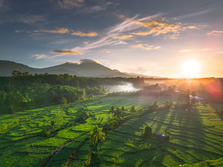 Beautiful morning view in Indonesia, panoramic landscape of rice fields with mountain ranges and clear skyの写真素材