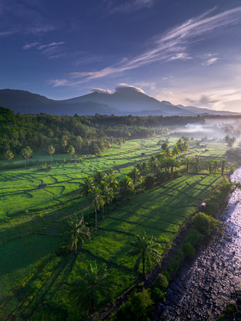 Beautiful morning view in Indonesia, panoramic landscape of rice fields with mountain ranges and clear skyの写真素材