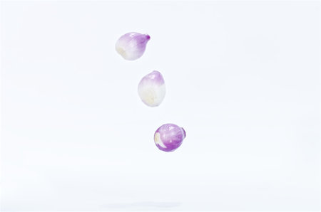 Levitating Purple Shallots Isolated on Clean White Background
