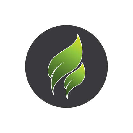 leaf logo vector template design illustrationのイラスト素材