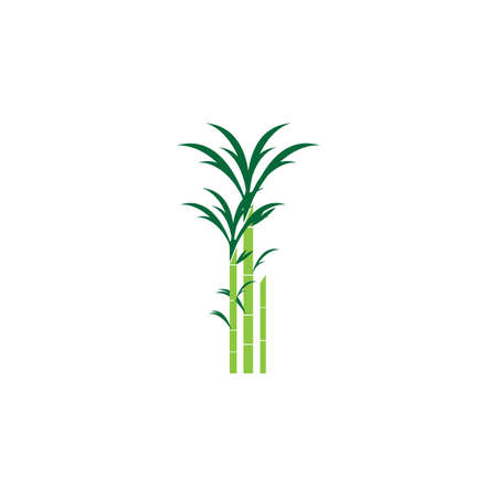 Sugar cane icon Vector Illustration design Logo templateのイラスト素材