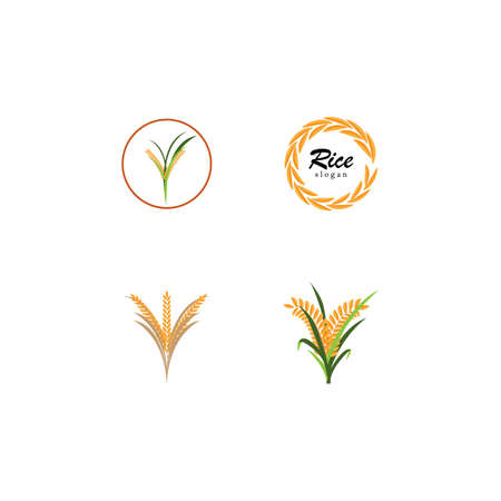 Ear of paddy rice isolated on white background. Icon vector illustration.のイラスト素材