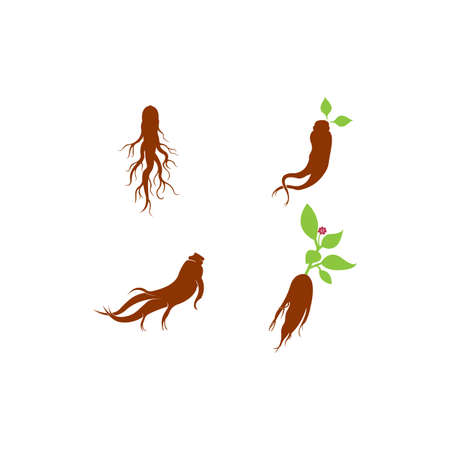 Ginseng logo Vector Illustration design templateのイラスト素材