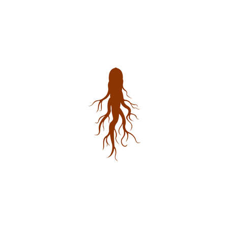Ginseng logo Vector Illustration design templateのイラスト素材