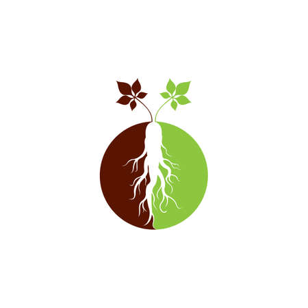 Ginseng logo Vector Illustration design templateのイラスト素材