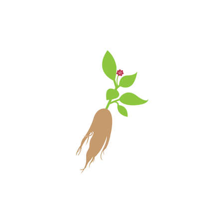 Ginseng logo Vector Illustration design templateのイラスト素材
