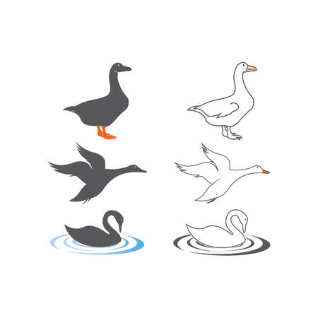 swan logo vector illustration design templateのイラスト素材