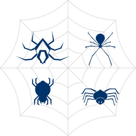 Spider icon.vector illustration symbol design.のイラスト素材