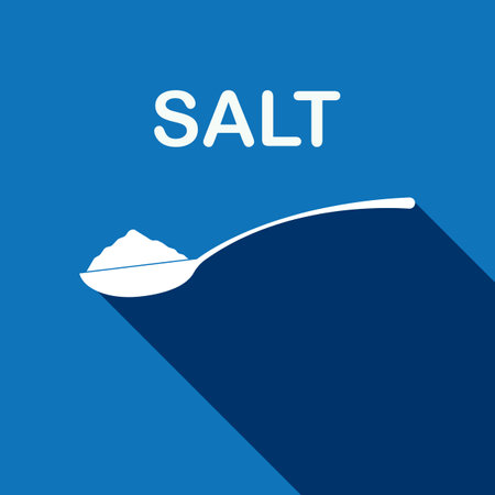 one spoon of salt icon vector illustration symbol designのイラスト素材