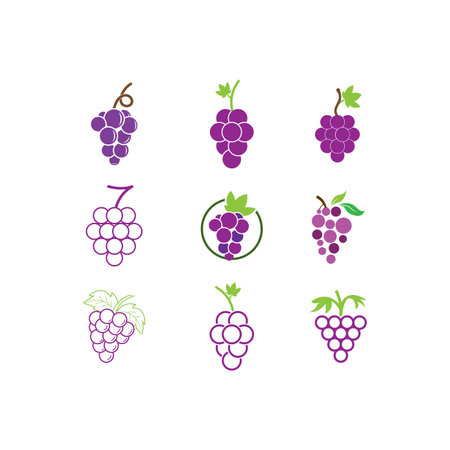 Grape with leaf logo vector template designのイラスト素材