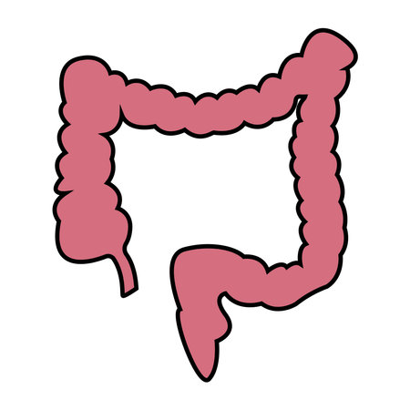 intestine simple icon vector illustration symbol designのイラスト素材