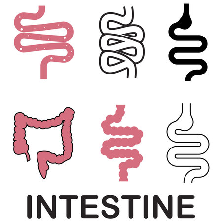 intestine simple icon vector illustration symbol designのイラスト素材