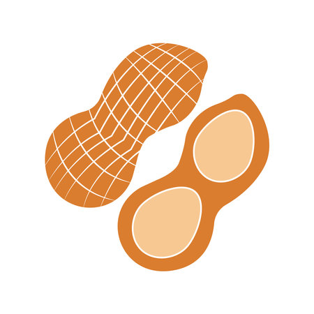 Peanut icon vector illustration symbol design