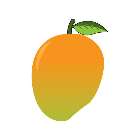 Mango fruit logo,vector illustration symbol designのイラスト素材