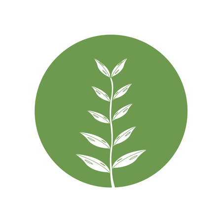Eucalyptus oil leaf icon,vector illustration logo designのイラスト素材
